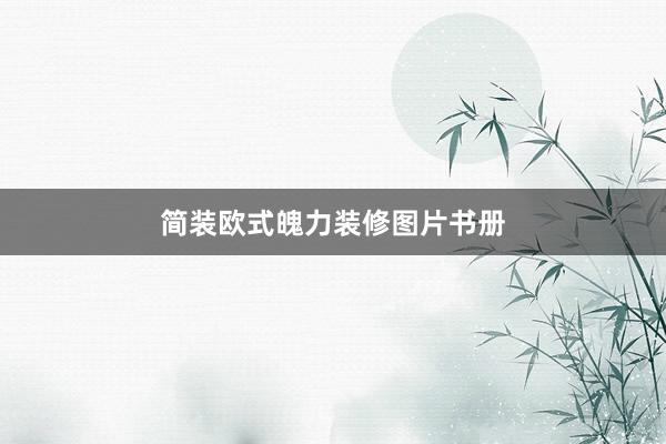 简装欧式魄力装修图片书册